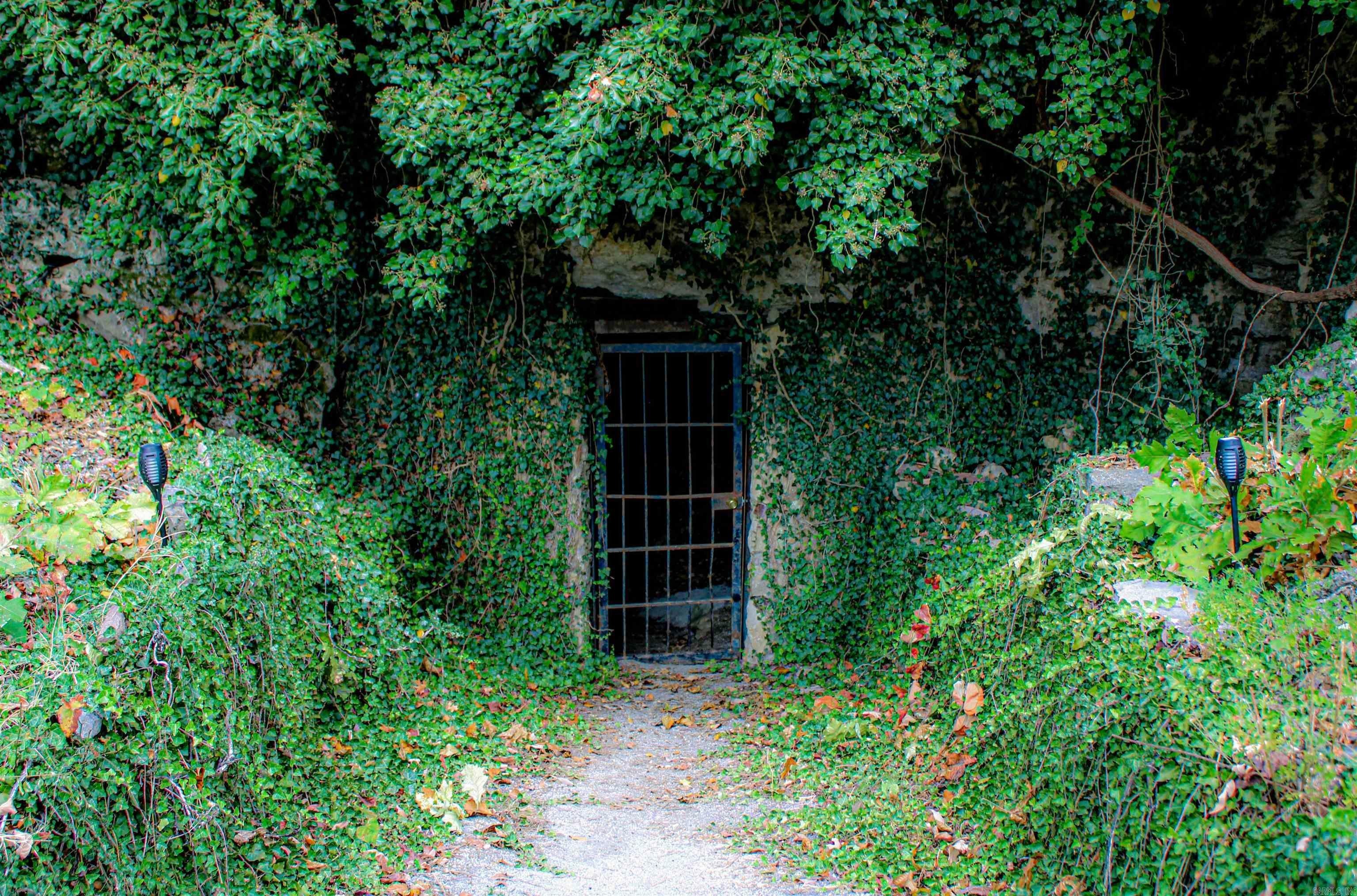 Shawnee Cave on 9.72 Acres