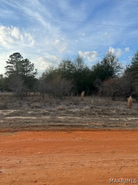 Land in Miller's Ferry