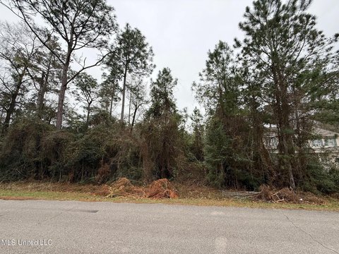 Residential Land in Diamondhead, MS