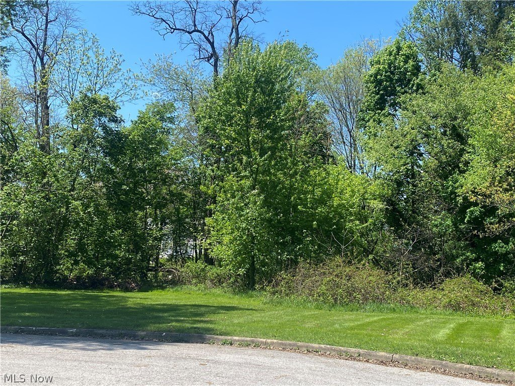 Residential Land in Salem, OH