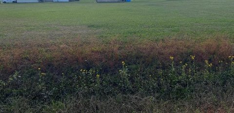 Residential Land in Plattenville, LA