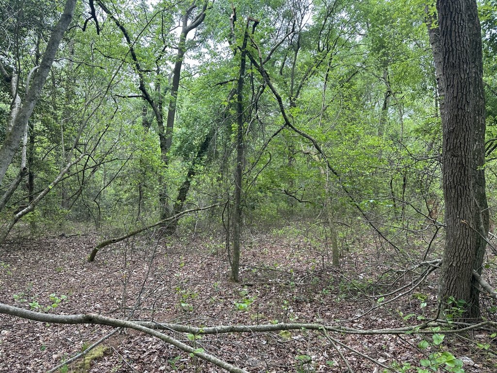 Picture 9