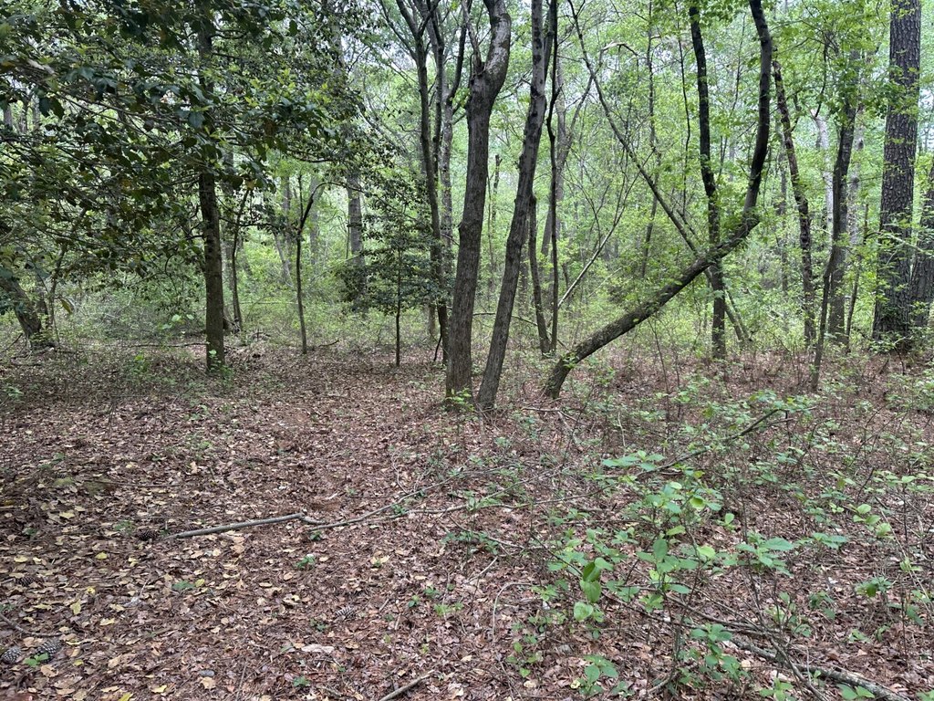 Picture 23