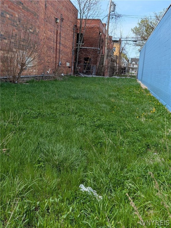 Picture 3