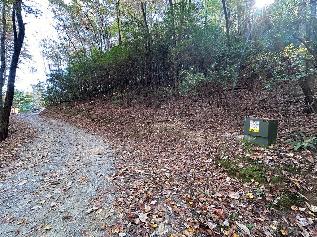 Picture 17