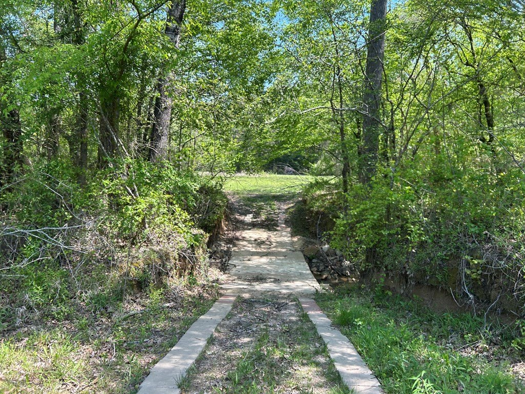 Picture 18