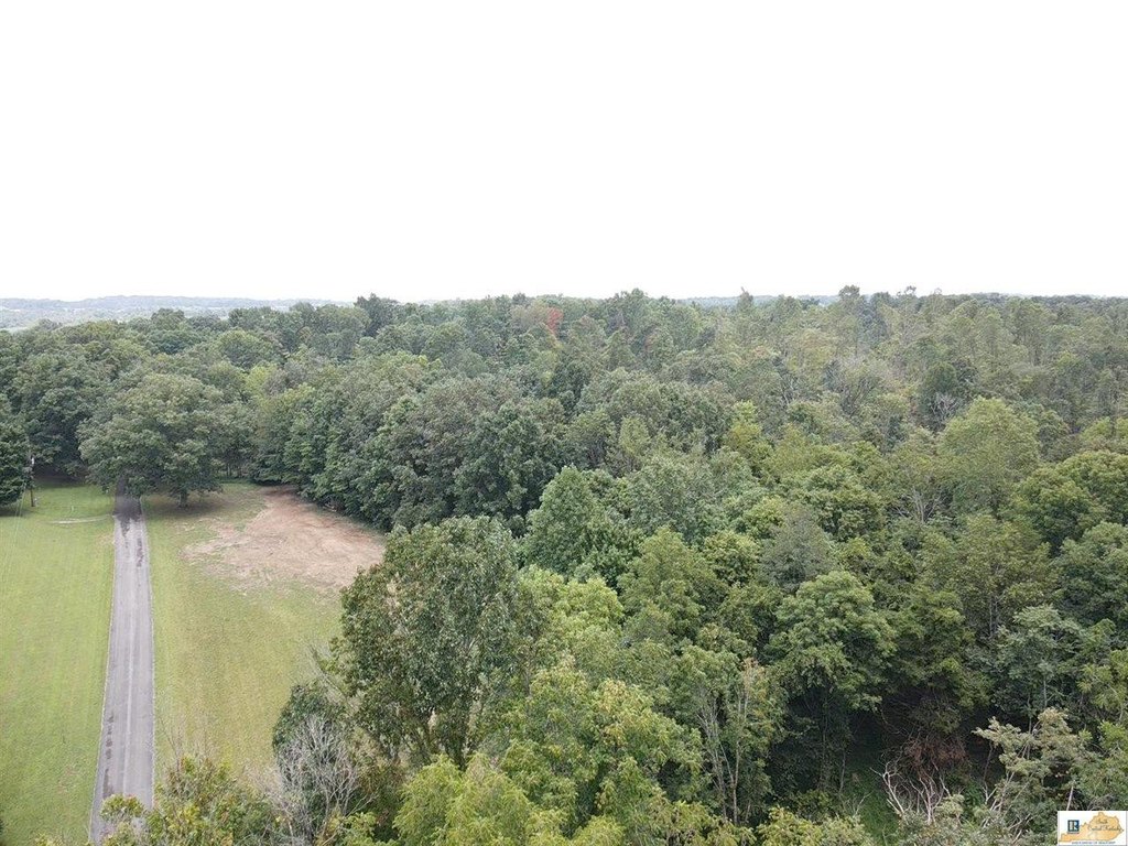 Picture 12