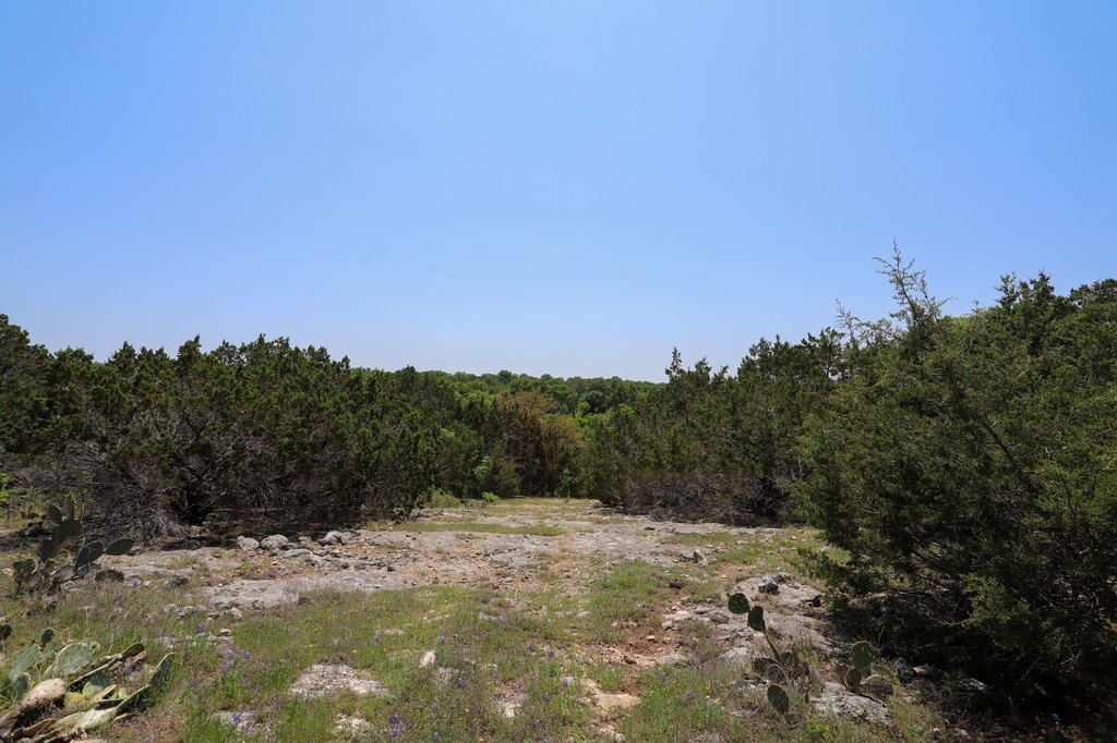 Picture 8