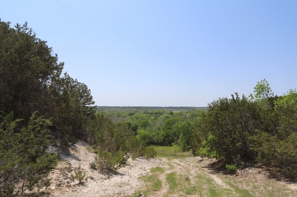 Picture 23