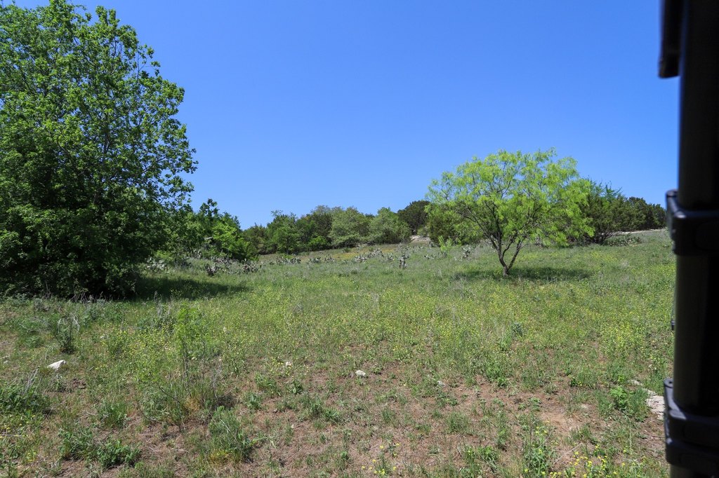 Picture 21