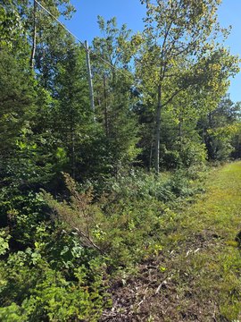 Land, Presque Isle, MI