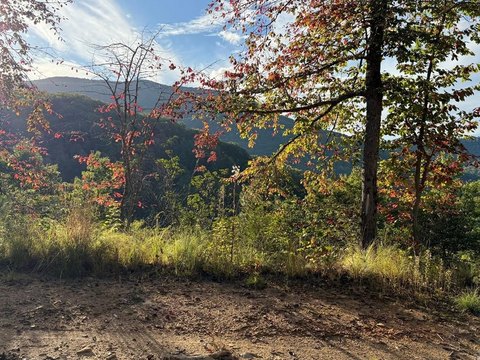 Whittier Land with Mountain Views