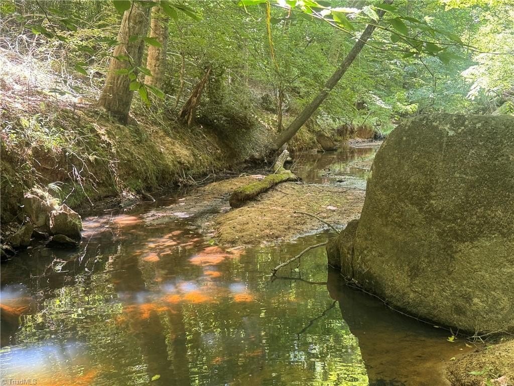 Picture 23