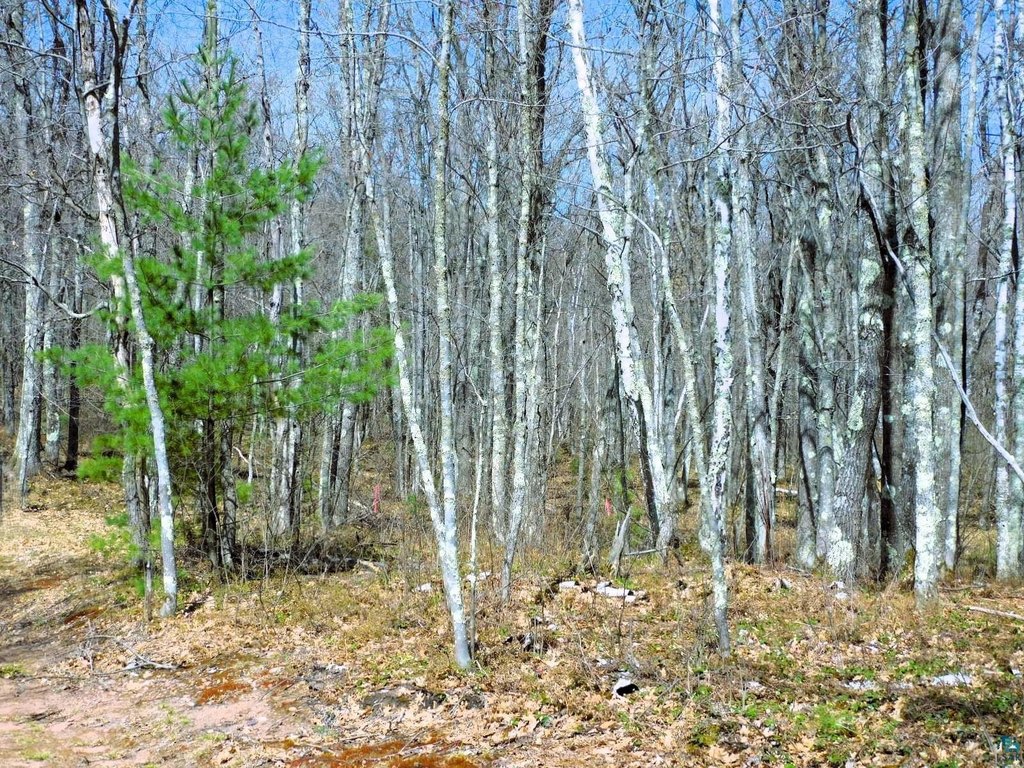 Picture 19
