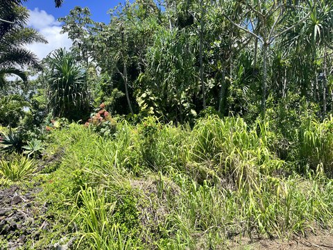 Waterfront-Adjacent Residential Land Lot