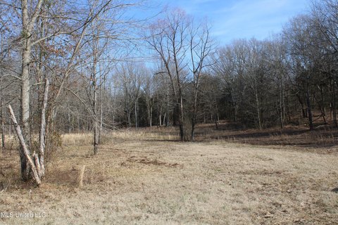 Wooded Acreage in Senatobia, MS