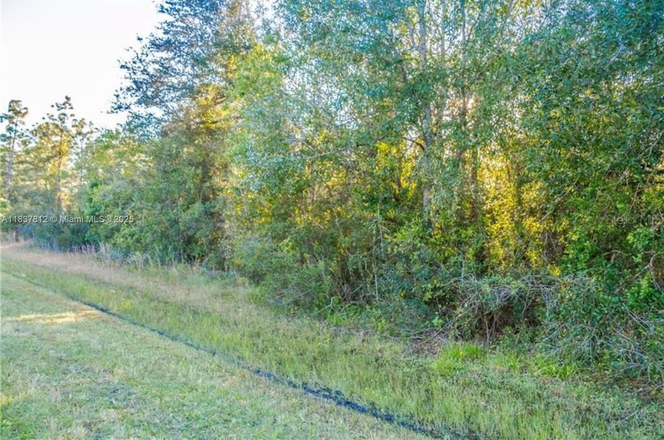 Cape Orlando Estates Land