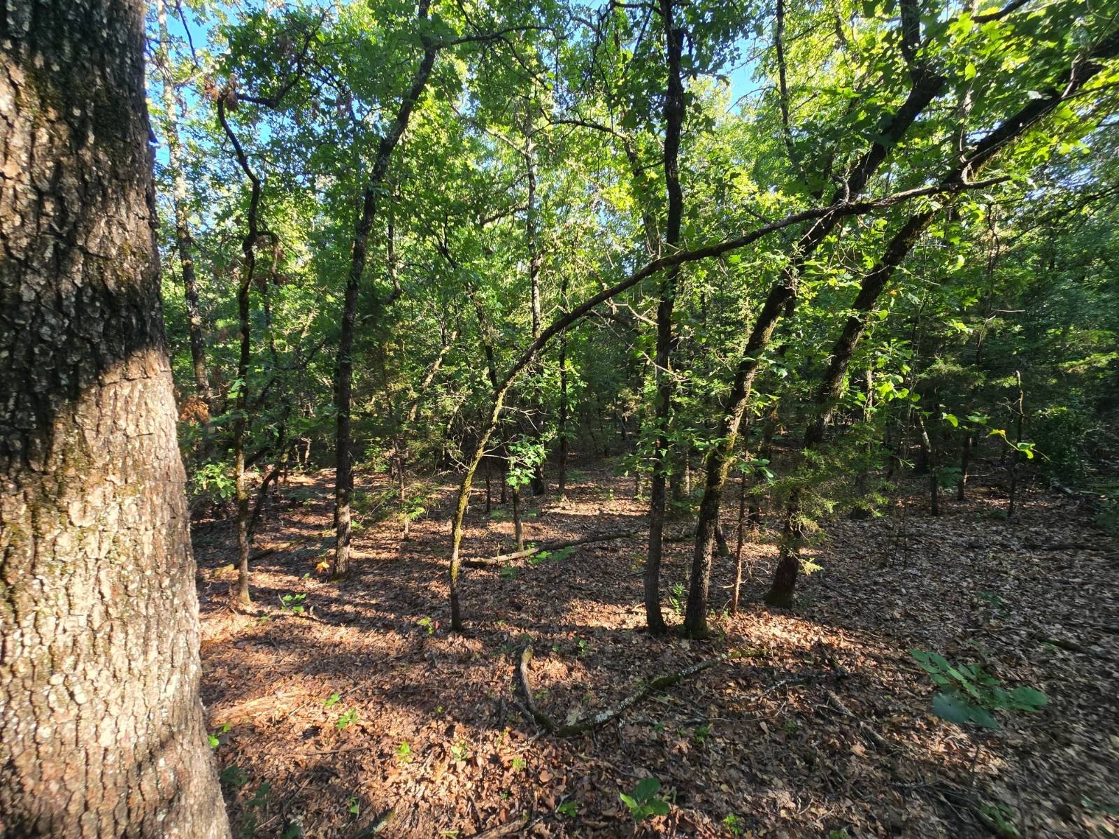 Off-Grid Wilderness Recreational Land