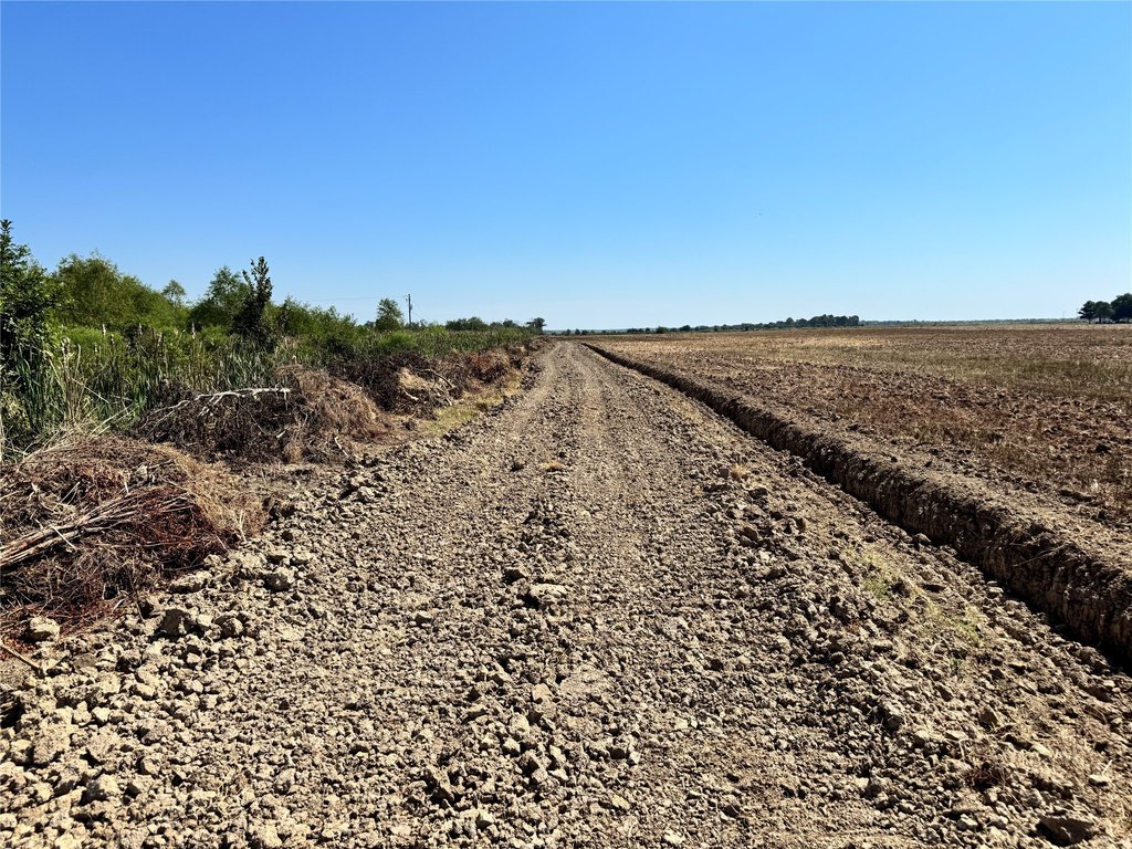 Picture 20