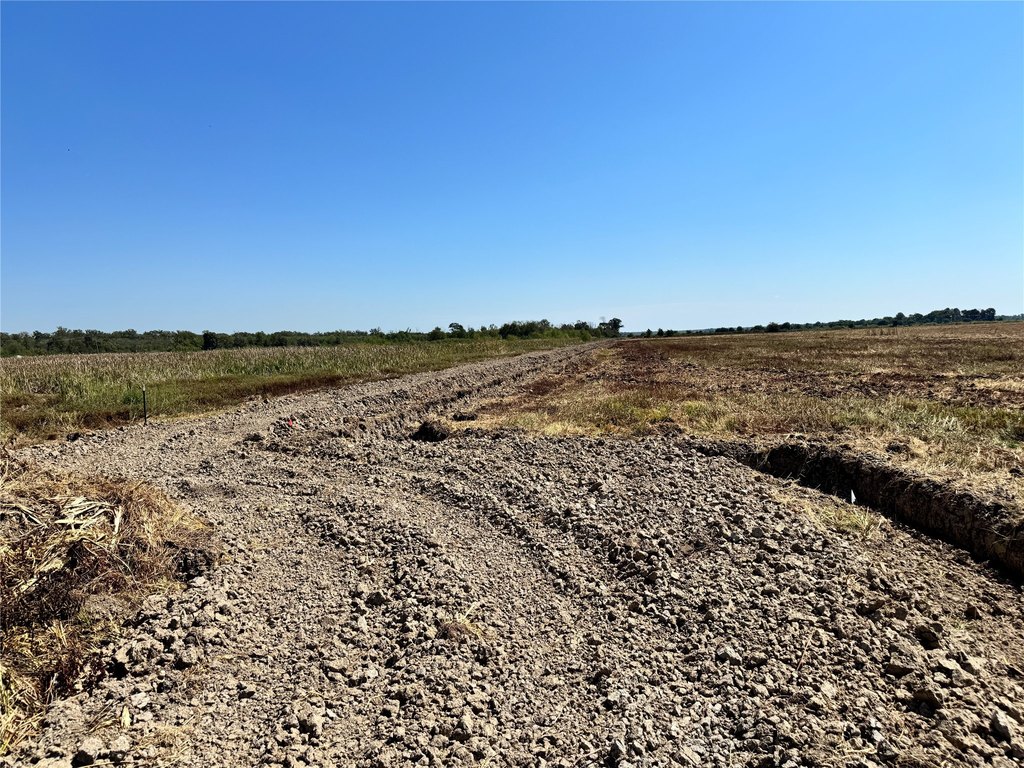 Picture 22