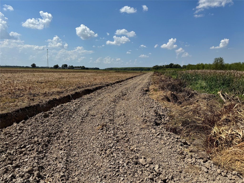 Picture 25