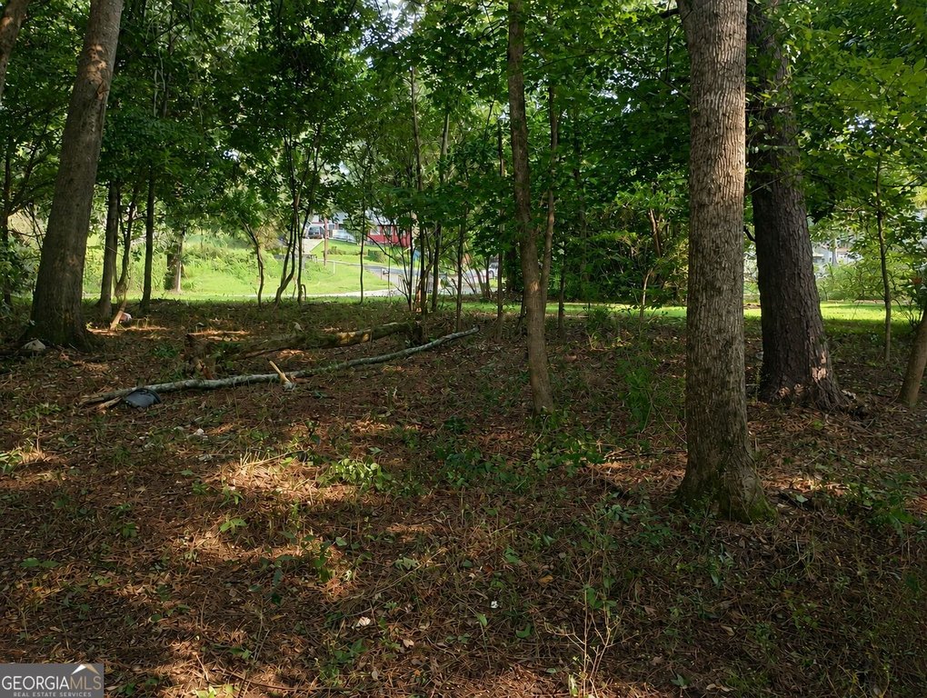 Picture 8