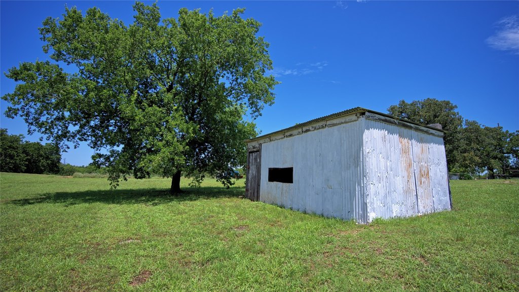 Picture 6