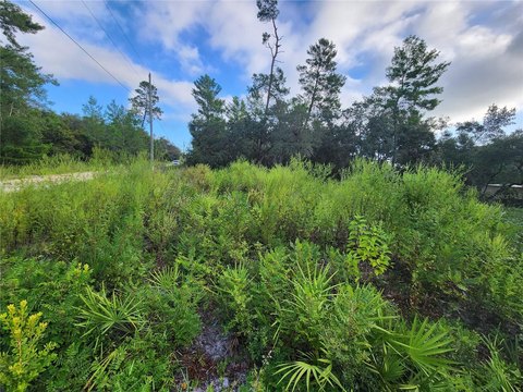 Vacant Land in Lake Kathryn