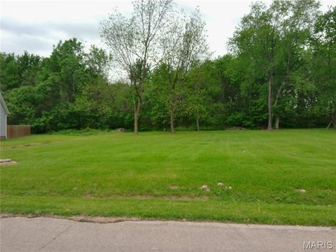 LAND - Dexter, MO
