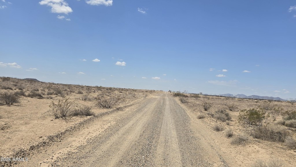 Picture 20
