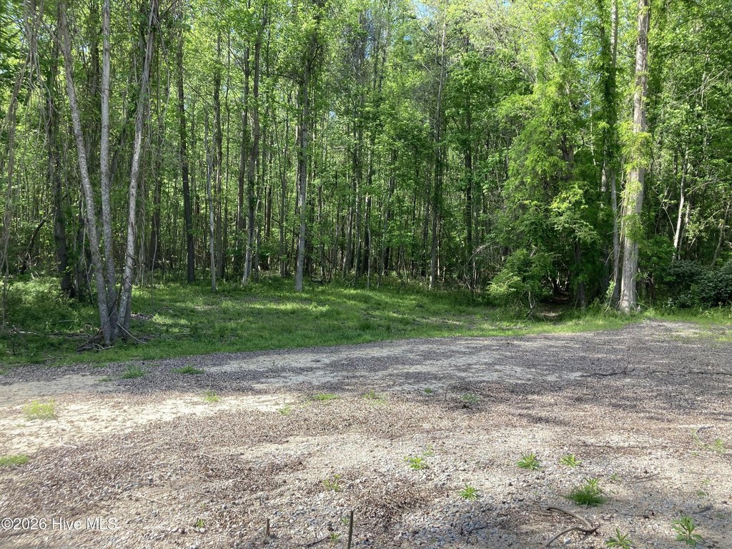 Picture 3