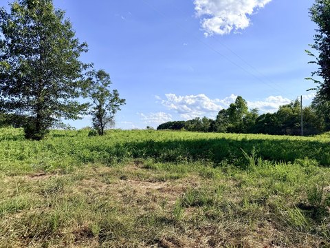 Land, Galena, MO