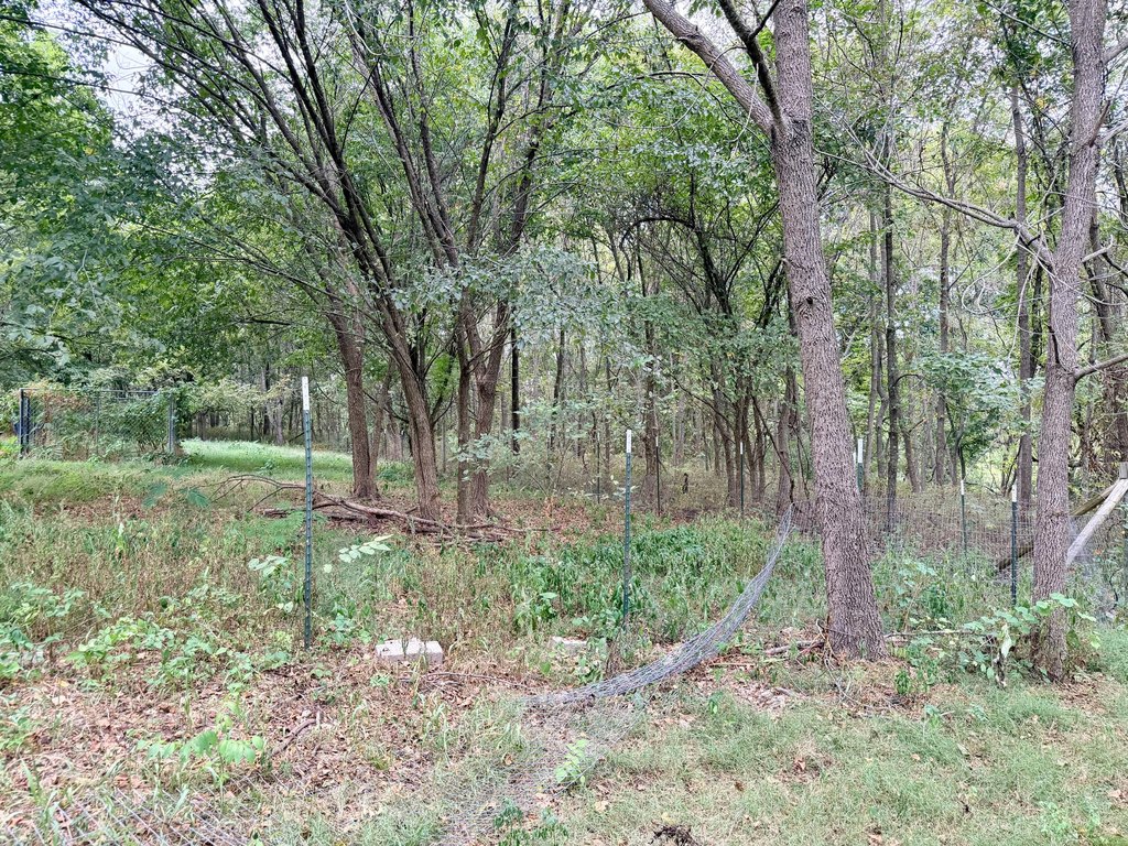 Picture 11