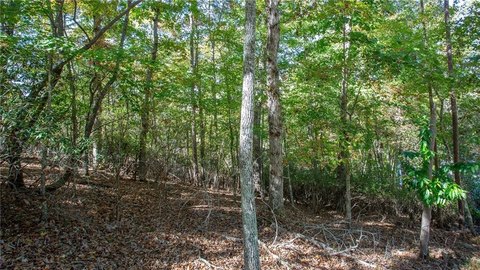 Lake Lanier Wooded Lot