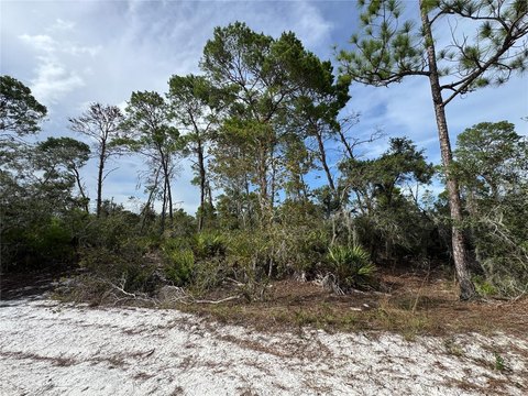 LAND - SEBRING, FL
