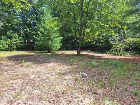 Half-Acre Parcel in Newaygo, MI