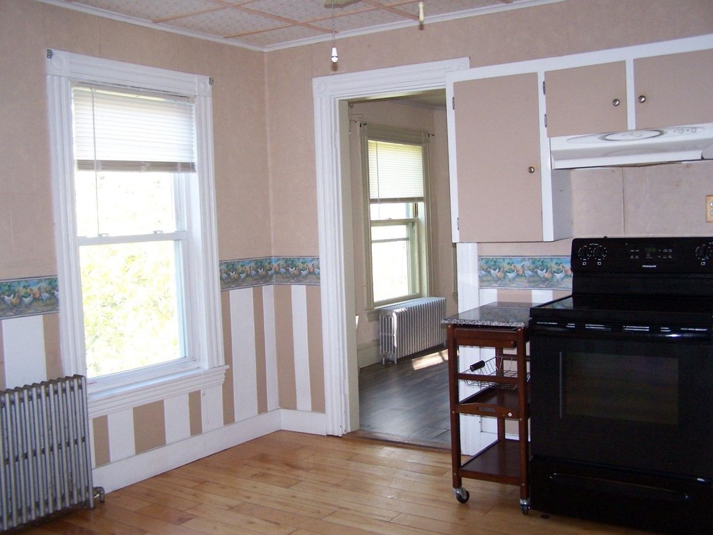 Picture 16