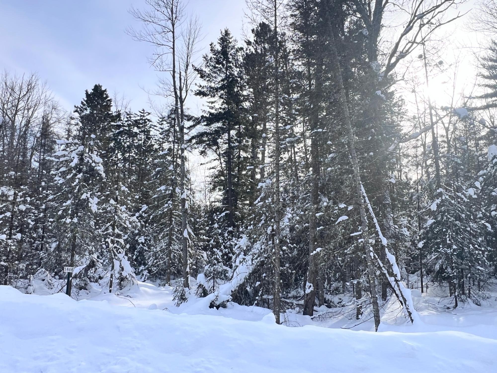 Eagle River Land For Sale