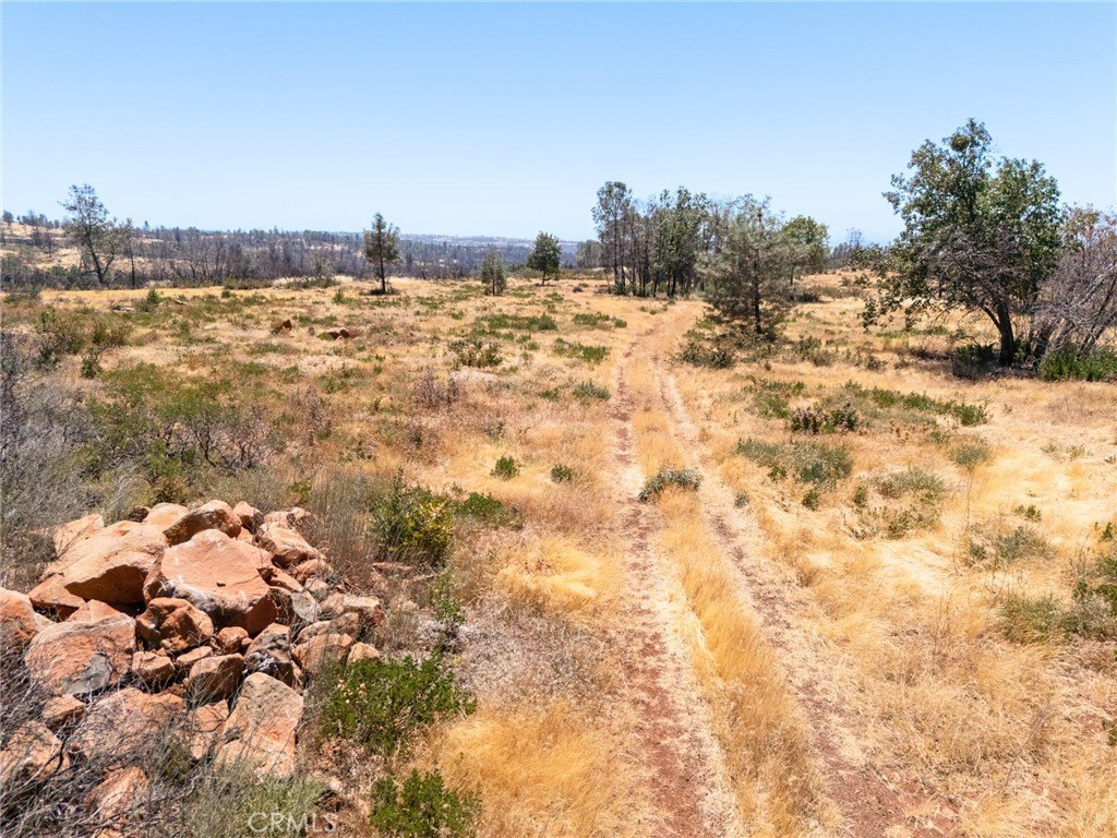 Picture 25