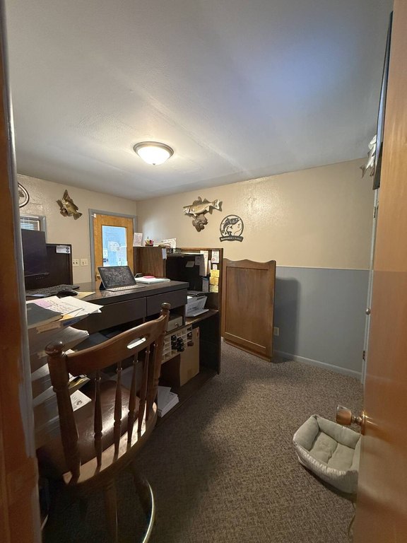 Picture 12