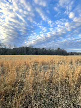 10 Acres in Campbell County