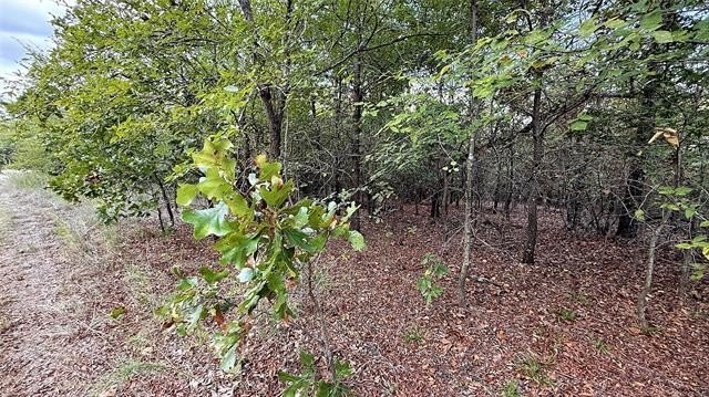 Vian, OK Level Building Lot