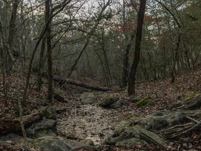 Picture 10