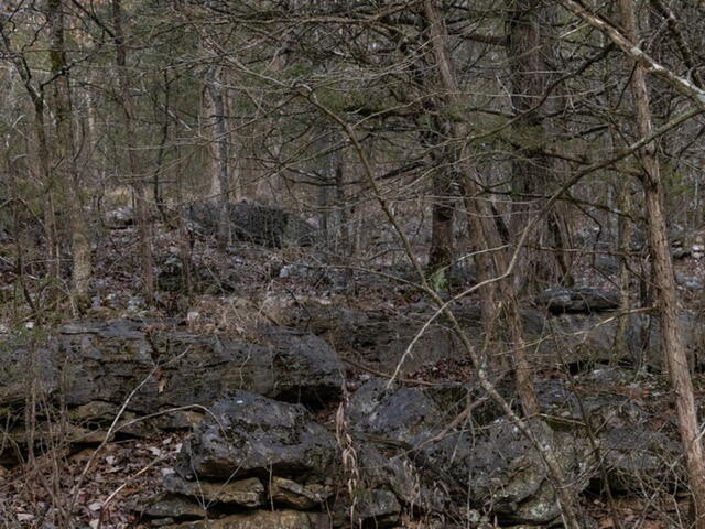Picture 9