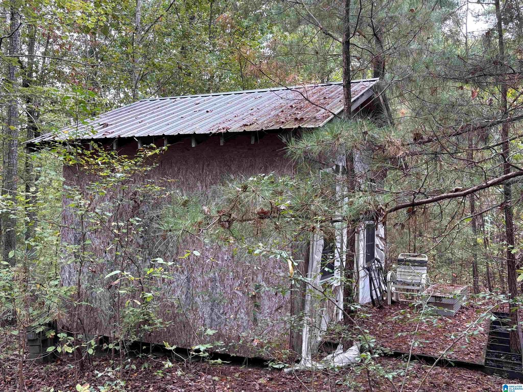 Picture 2