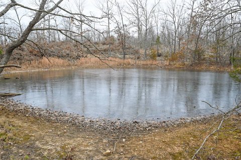 212 Acres of Wooded Land