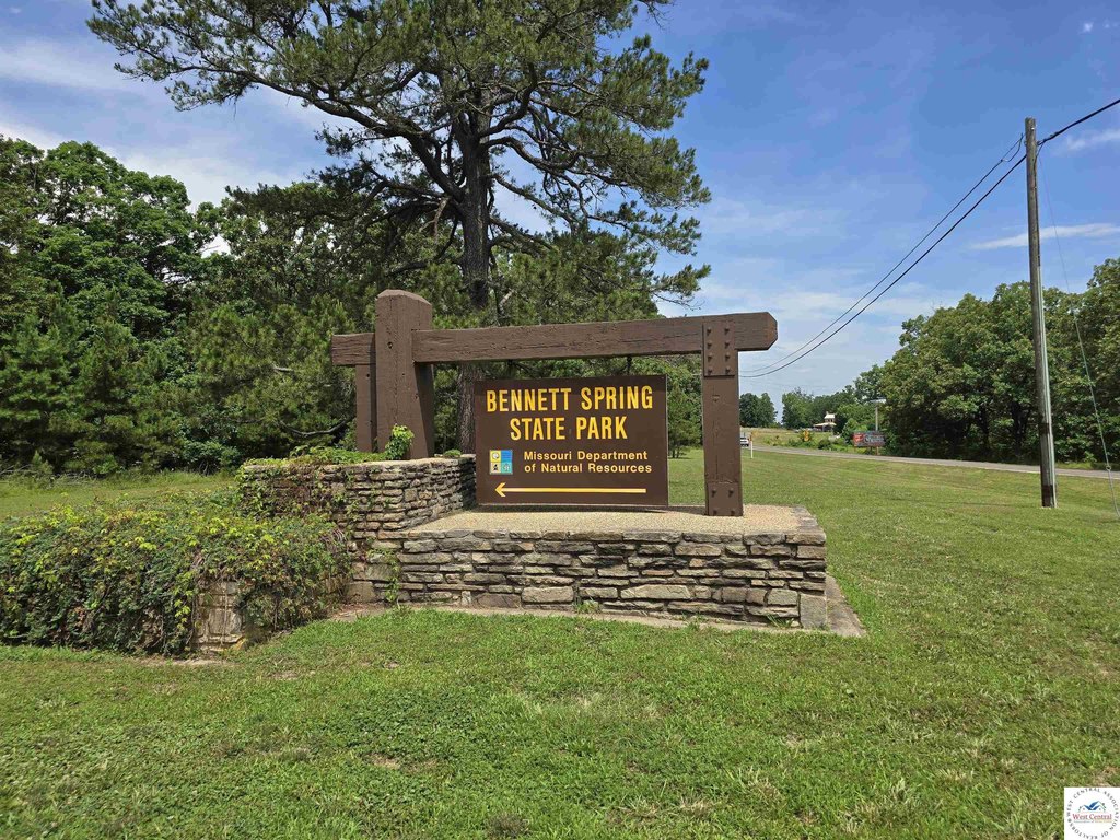 Picture 19