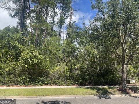 Land, St. Marys, GA