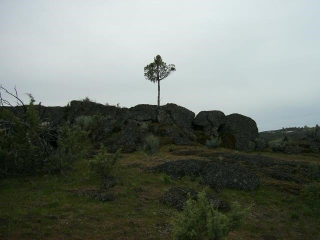 Picture 23