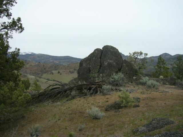 Picture 24